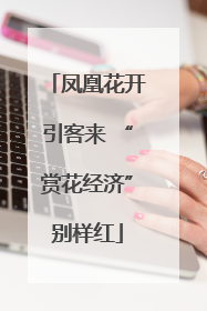 凤凰花开引客来 “赏花经济”别样红