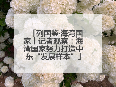 列国鉴·海湾国家丨记者观察：海湾国家努力打造中东“发展样本”