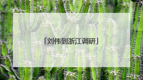 刘伟到浙江调研