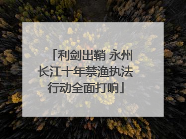 利剑出鞘 永州长江十年禁渔执法行动全面打响