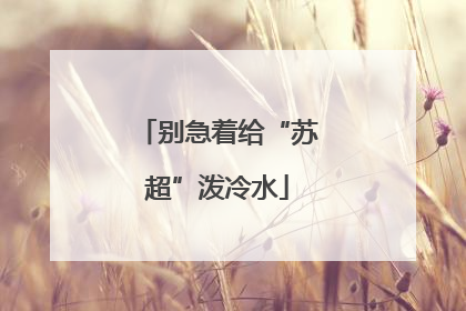 别急着给“苏超”泼冷水