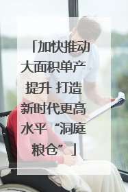 加快推动大面积单产提升 打造新时代更高水平“洞庭粮仓”
