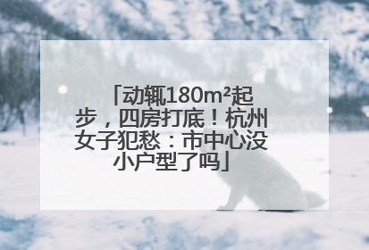 动辄180m²起步，四房打底！杭州女子犯愁：市中心没小户型了吗