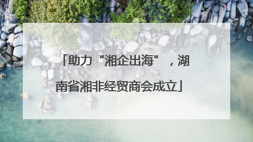 助力“湘企出海”，湖南省湘非经贸商会成立