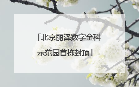 北京丽泽数字金科示范园首栋封顶