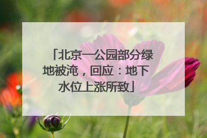 北京一公园部分绿地被淹，回应：地下水位上涨所致