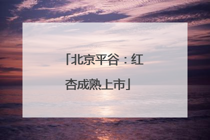 北京平谷：红杏成熟上市