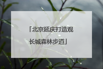 北京延庆打造观长城森林步道