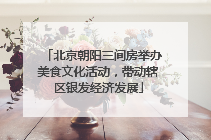 北京朝阳三间房举办美食文化活动，带动辖区银发经济发展