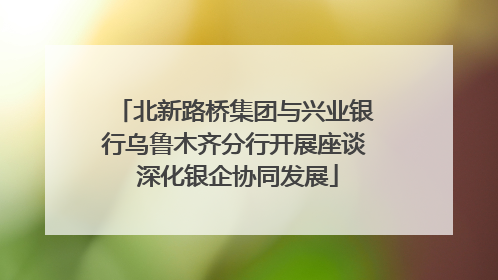 北新路桥集团与兴业银行乌鲁木齐分行开展座谈 深化银企协同发展