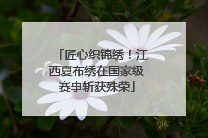 匠心织锦绣！江西夏布绣在国家级赛事斩获殊荣