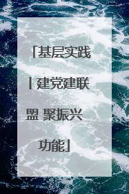 基层实践丨建党建联盟 聚振兴功能