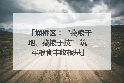 埇桥区：“藏粮于地、藏粮于技” 筑牢粮食丰收根基