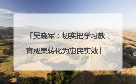 吴晓军：切实把学习教育成果转化为惠民实效