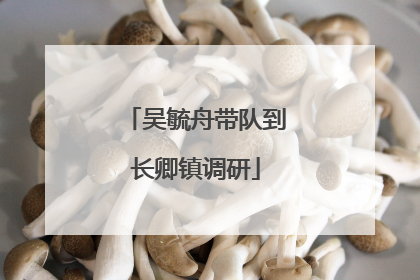 吴毓舟带队到长卿镇调研