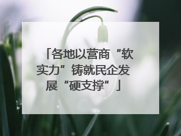 各地以营商“软实力”铸就民企发展“硬支撑”