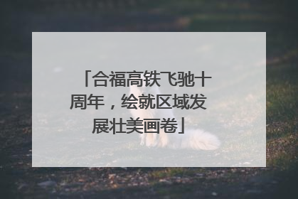 合福高铁飞驰十周年，绘就区域发展壮美画卷