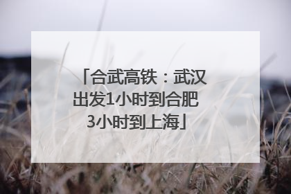 合武高铁：武汉出发1小时到合肥3小时到上海
