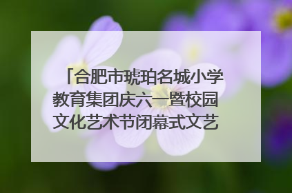 合肥市琥珀名城小学教育集团庆六一暨校园文化艺术节闭幕式文艺汇演圆满举行