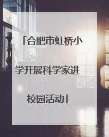 合肥市虹桥小学开展科学家进校园活动