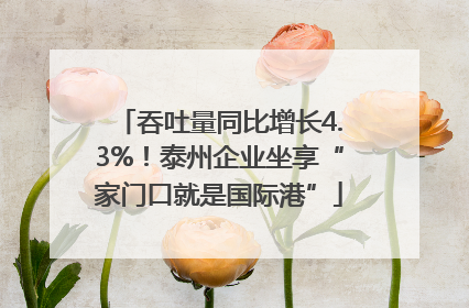 吞吐量同比增长4.3%！泰州企业坐享“家门口就是国际港”