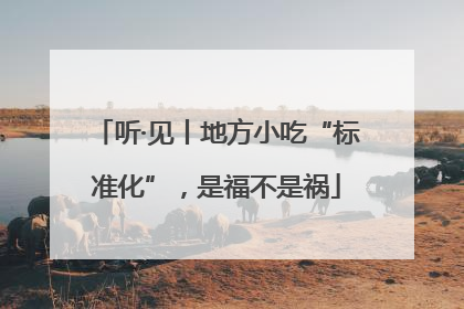 听·见丨地方小吃“标准化”，是福不是祸