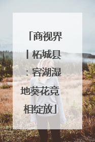 商视界丨柘城县：容湖湿地葵花竞相绽放