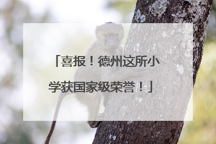 喜报！德州这所小学获国家级荣誉！