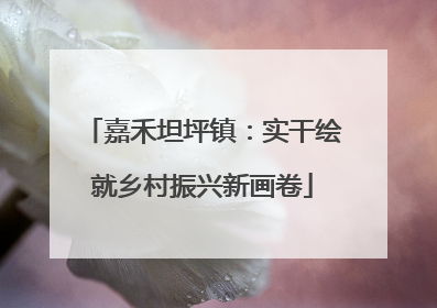 嘉禾坦坪镇：实干绘就乡村振兴新画卷