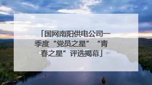 国网南阳供电公司一季度“党员之星”“青春之星”评选揭幕
