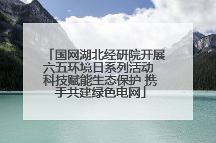 国网湖北经研院开展六五环境日系列活动 科技赋能生态保护 携手共建绿色电网