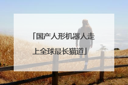 国产人形机器人走上全球最长猫道
