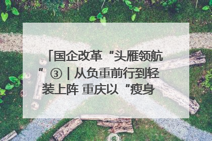 国企改革“头雁领航”③｜从负重前行到轻装上阵 重庆以“瘦身”谋“健体”