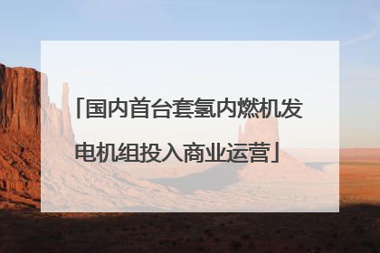 国内首台套氢内燃机发电机组投入商业运营