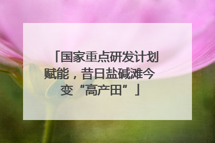 国家重点研发计划赋能，昔日盐碱滩今变“高产田”