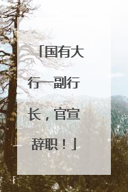 国有大行一副行长，官宣辞职！