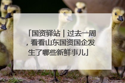 国资驿站｜过去一周，看看山东国资国企发生了哪些新鲜事儿
