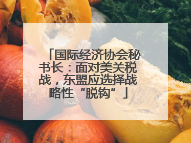 国际经济协会秘书长：面对美关税战，东盟应选择战略性“脱钩”