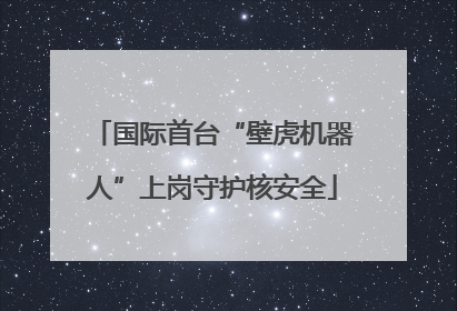 国际首台“壁虎机器人”上岗守护核安全
