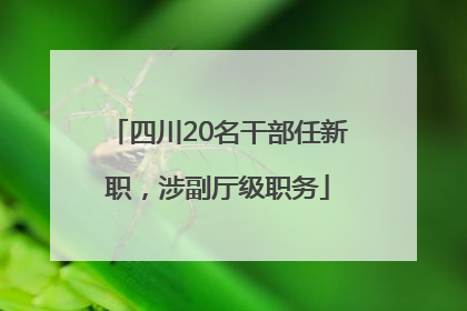 四川20名干部任新职，涉副厅级职务