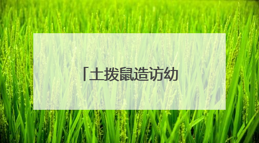 土拨鼠造访幼儿园，警民协力智擒“萌兽”