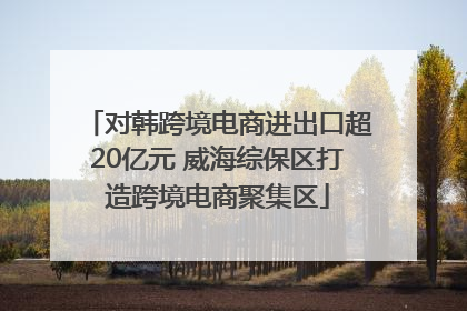 对韩跨境电商进出口超20亿元 威海综保区打造跨境电商聚集区