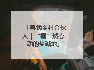 寻找乡村合伙人｜“棚”然心动的盐碱地