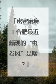 密密麻麻！合肥最近频现的“虫卷风”是啥？