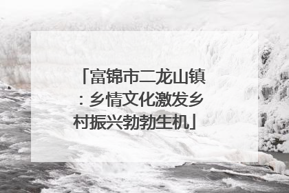 富锦市二龙山镇：乡情文化激发乡村振兴勃勃生机