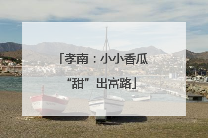 孝南：小小香瓜 “甜”出富路