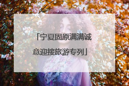 宁夏固原满满诚意迎接旅游专列