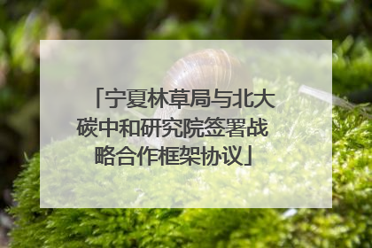 宁夏林草局与北大碳中和研究院签署战略合作框架协议