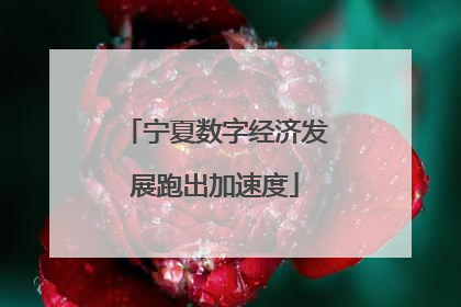 宁夏数字经济发展跑出加速度