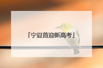 宁夏首迎新高考